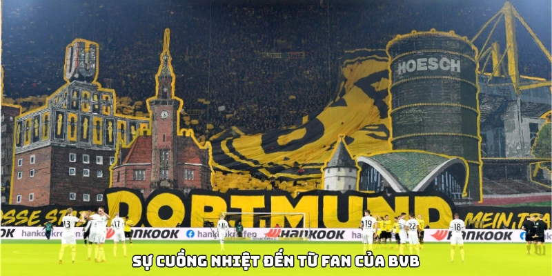 Sự cuồng nhiệt đến từ fan của BVB